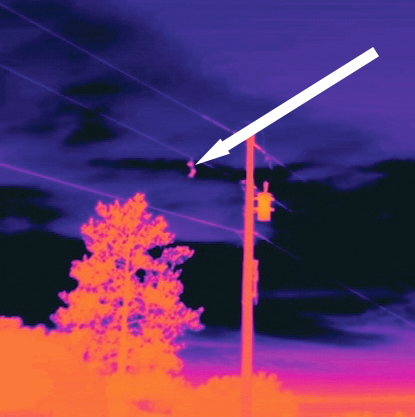 a pair of shoes is visible in an infrared photo