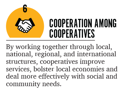 Cooperation among cooperatives