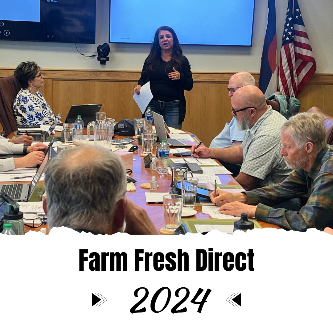 Mayra McKibbon with Farm Fresh Direct presenting before SLVREC Board of Directors