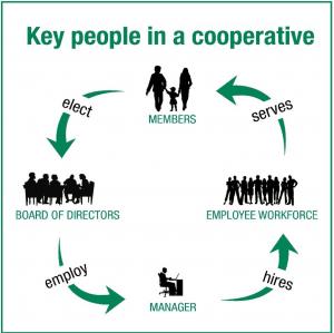 Key People In a Cooperative
